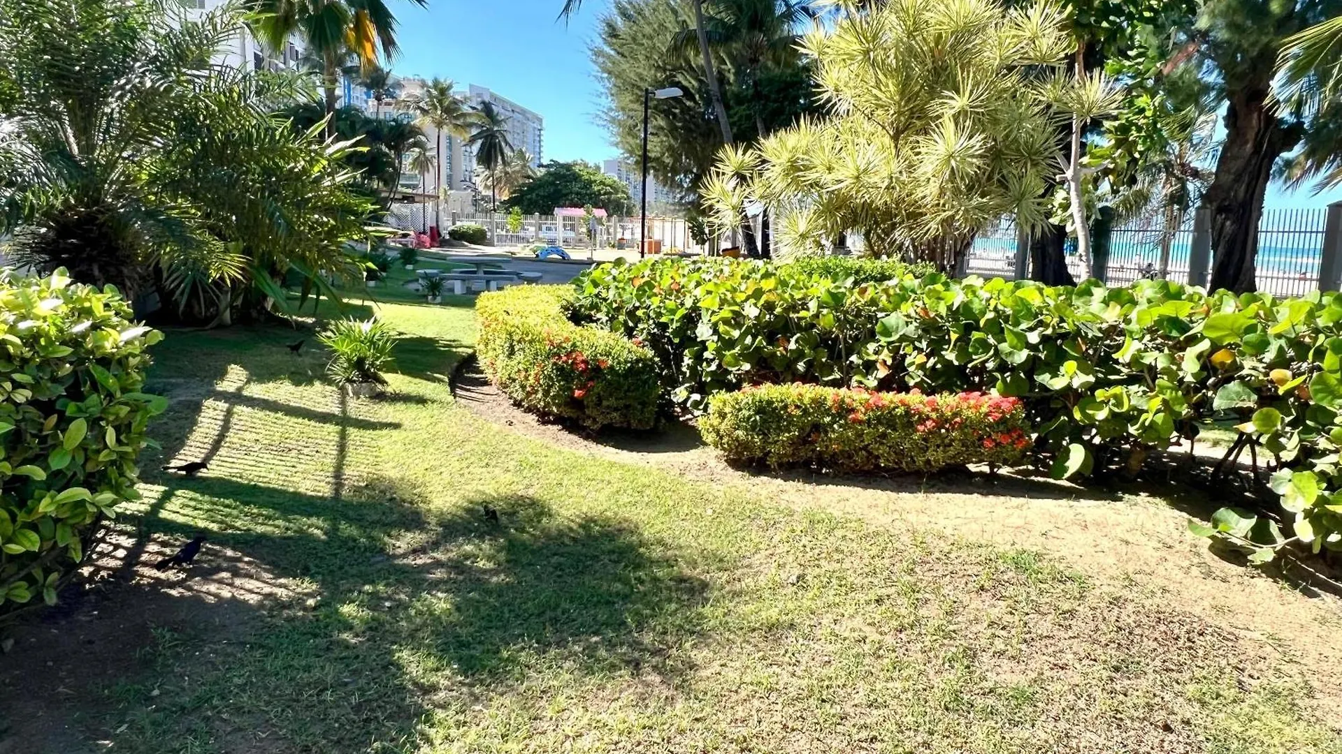 Apartmán Ocean View Apt On Isla Verde In A 14Th Floor San Juan